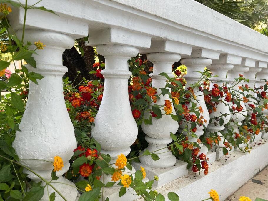 Beautiful Garden Apartment Steps From The Beach Mentone Esterno foto